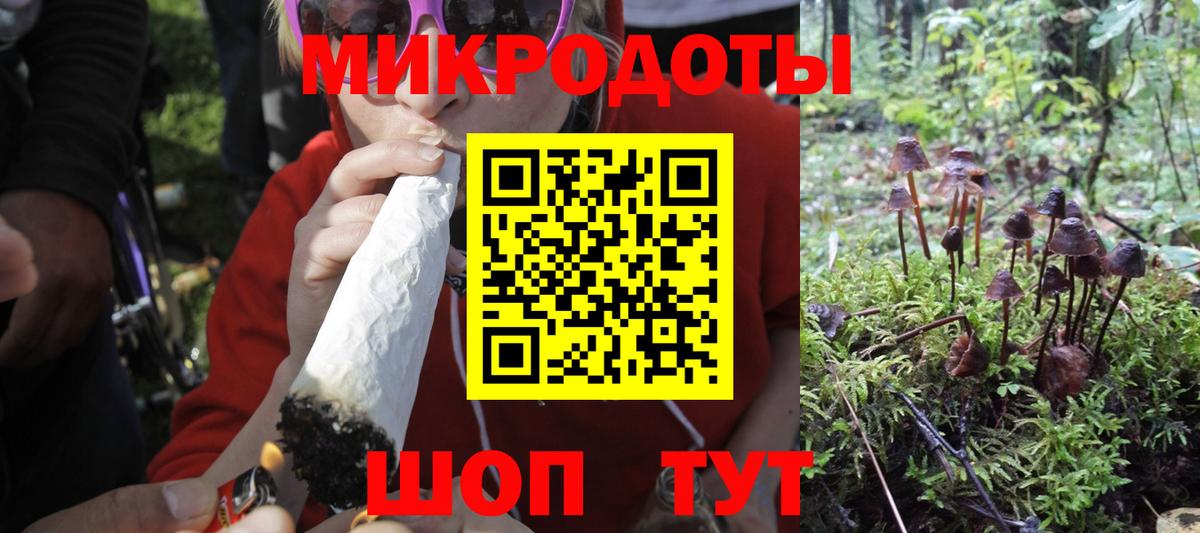 Псилоцибиновые грибы MAGIC MUSHROOMS  Вход с VPN  Псилоцибиновые грибы Psilocybine cubensis  Гудермес 